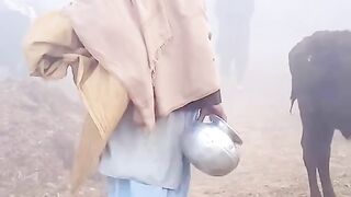 Very funny video and song