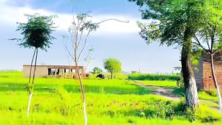 Punjab