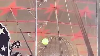 Great Circus Activity