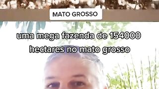 Aqui é o agronegócio brasileiro em Mato Grosso Brasil #Soja #Milho #CanaDeAçucar