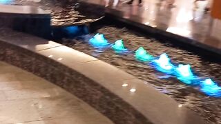 Lover's dubai amazing video today top videos love dubai