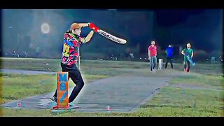 Cricket