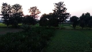 Upper view of Farm area