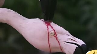 Mother is mother