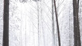Winter walk_Winter land_Ice land