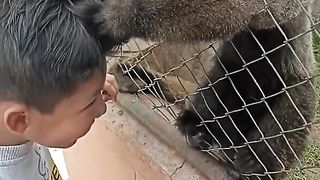 Dont Stand close to a monkey in the zoo