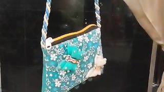 Purse akhli