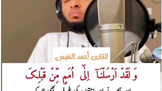 اور ہم نے تم سے پہلے بہت سی امتوں کی طرف پیغمبر بھیجے۔ ۴۲﴾