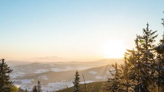 Bright sun rising over the skyline in the forest.