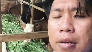 Kehidupan di desa sangat adem dan sejuk di hati