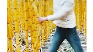 China ki, 10 fruite ki kheti