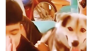 New funny pranks best video 2024
