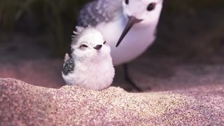 Pixar Short Films Collection Vol. 3   Pixar Did You Know by Disney•Pixar
