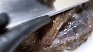 Grilled Monkfish
