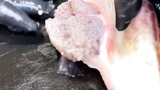 Sandfish Roe Nigiri