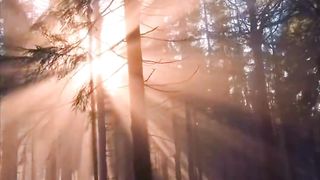 revideos #naturereels #natureview #trending #trendinsongs #viral ...ingvibes #peace #beautyofnature #beautifulnature #amazingview