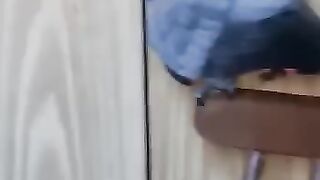Как _хорошая_ девочка умеет огрызаться.