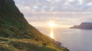 Flyover lush spring hillside toward sunset on sea