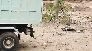 RC dump trucks