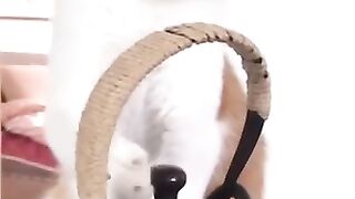 Смешное видео