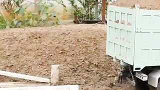 RC dump trucks