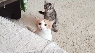 Папа а что с бабушкой