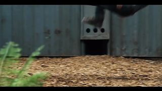 Stand Down - Jurassic World