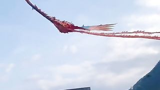 "Fire phoenix": a man made a phoenix kite controlled by a drone, and flew it in the sky