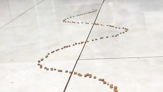 Amazing video