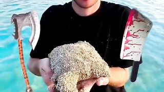 OCEAN ???? CHALLENGE_ How many did you guess