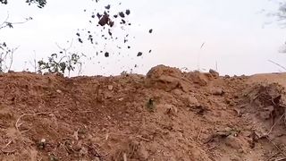 Entertainment video