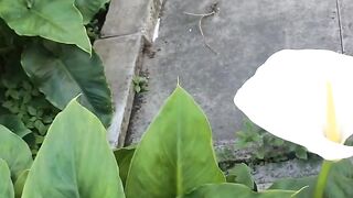 #nutare
