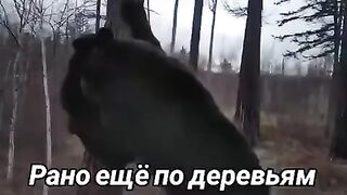 Оператор бессмертный