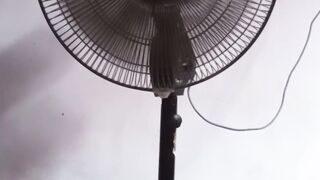"Wind Dance: The Graceful Spin of the Ceiling Fan"