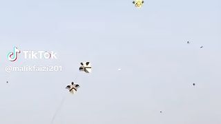Basant Faisalabad 2014