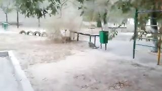 Невероятно! НАГЛАЯ И АГРЕССИВНАЯ КРЫСА.