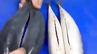 Sea food