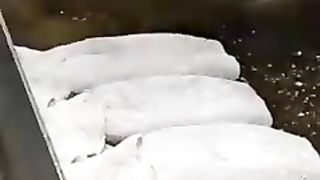 Sea food from Korea