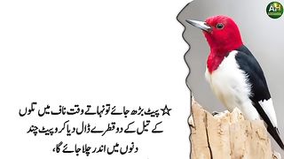 Tango Ma Dard Patho Ma Khichao (Cramps in the legs,Calf pain,Muscle spasms) - Aqwal in Urdu