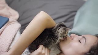 The Most Dangerous Kitten Attacks Again