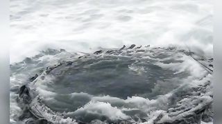 "Ocean Wonders: A Mesmerizing Tapestry of Astonishing Aquatic Beauty"