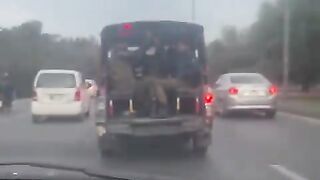 عدالت کے حکم کے باوجود عمران ریاض کو نامعلوم مقام لے گئے