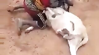 Funny video ????