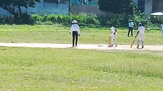 My cricket