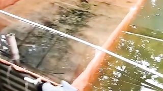 Cara menanggulangi amonia dikolam tanah agar pembesaran ikan lele lancar
