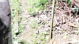 Analisis pemilihan lahan itu penting dalam budidaya ikan lele, dipastikan lahan yang kita tempati itu memiliki sumber air yang melimpah
