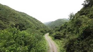 lush-green-mountain-pathway