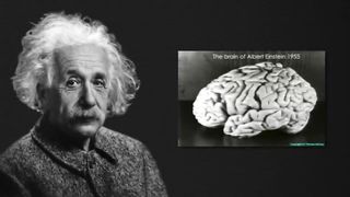 The Secret Life of Albert Einstein