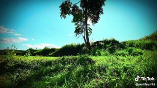 "My Life in Nature's Embrace: A Journey of Harmony and Discovery"
