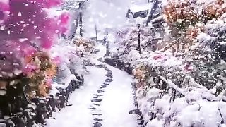 Beautiful place